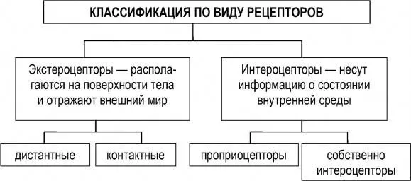 100 Tests with Answers and Diagrams - Fundamentals of General Psychology