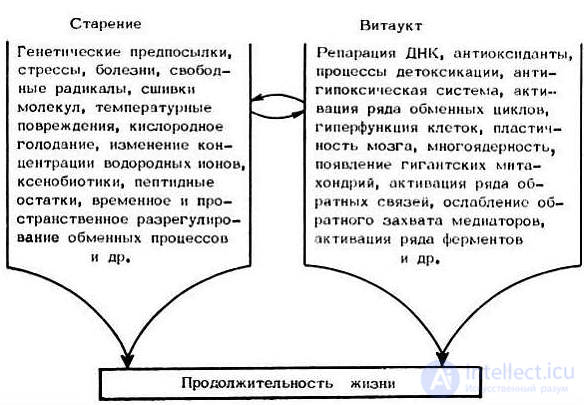 Pedagogical psychology test questions with answers - developmental psychology with diagrams