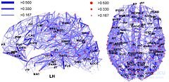 Connectome: A Complete Map of Neural Connections