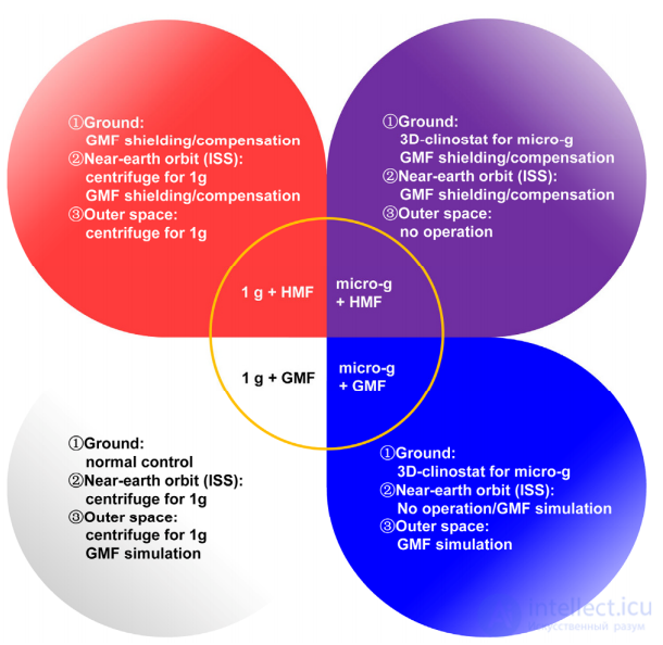 Hypomagnetic Field and Its Effect on Laboratory Animals and Cell Cultures
