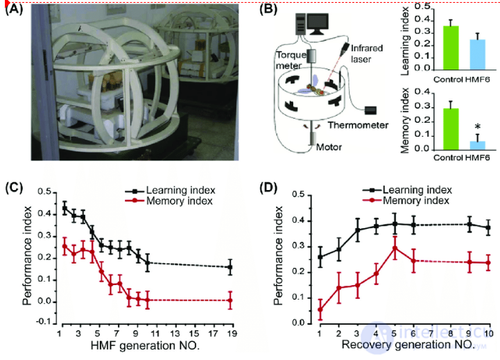 Hypomagnetic Field and Its Effect on Laboratory Animals and Cell Cultures