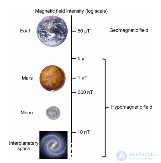 Hypomagnetic Field and Its Effect on Laboratory Animals and Cell Cultures