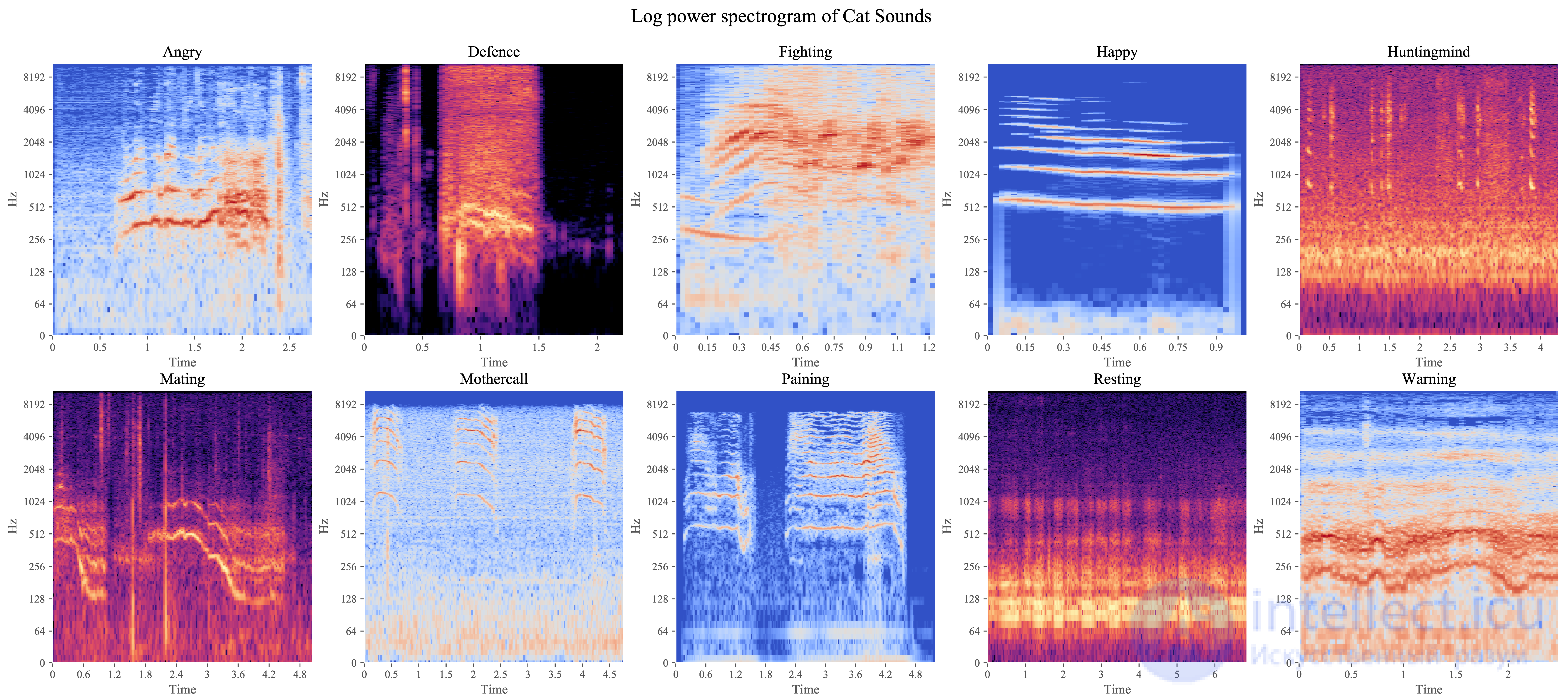 Perception of Sounds and Music in Animals