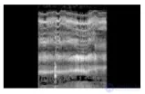 Perception of Sounds and Music in Animals