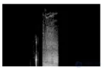 Perception of Sounds and Music in Animals