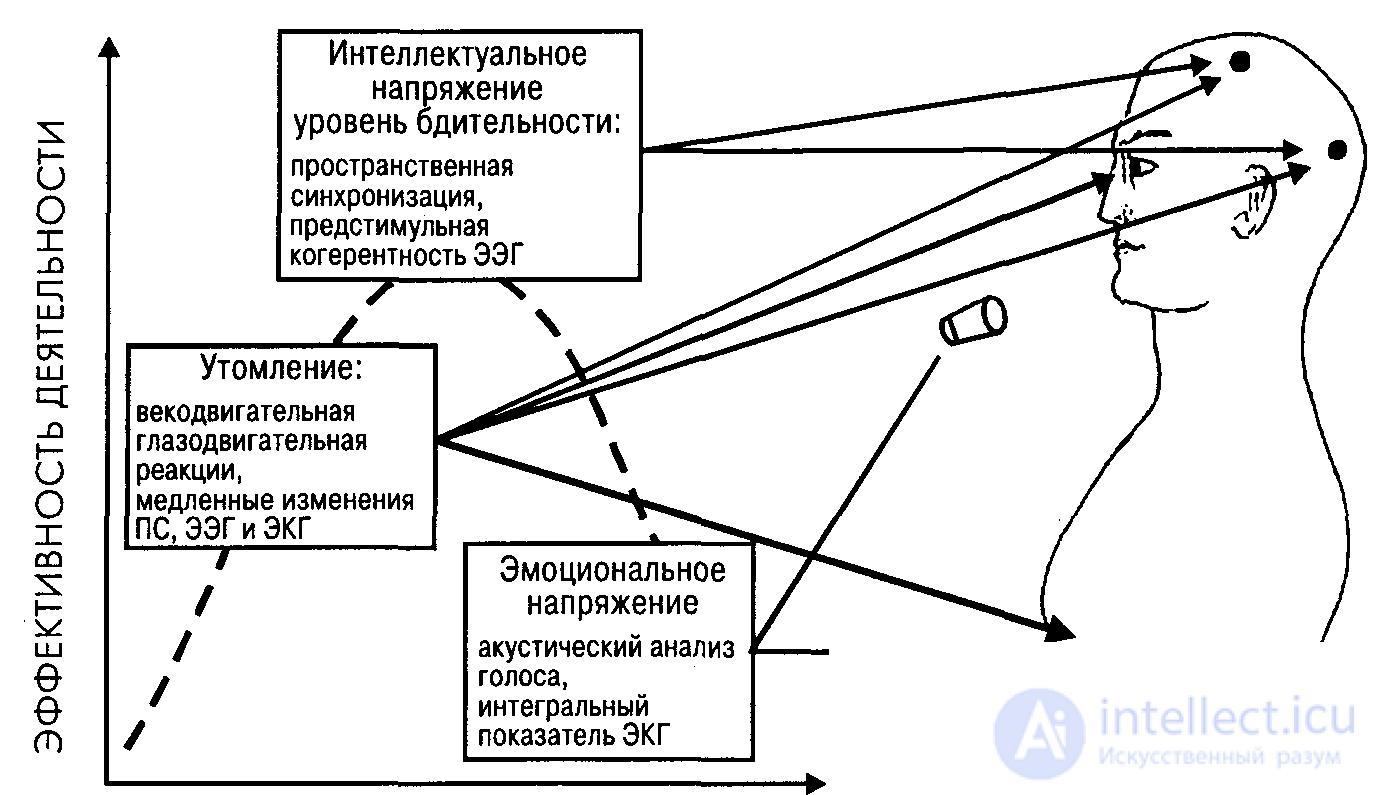 Traffic Psychology and the Causes of Road Accidents