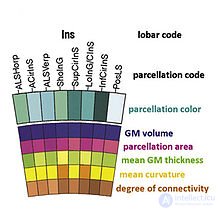 Connectogram: A Graphical Representation of Connectomics