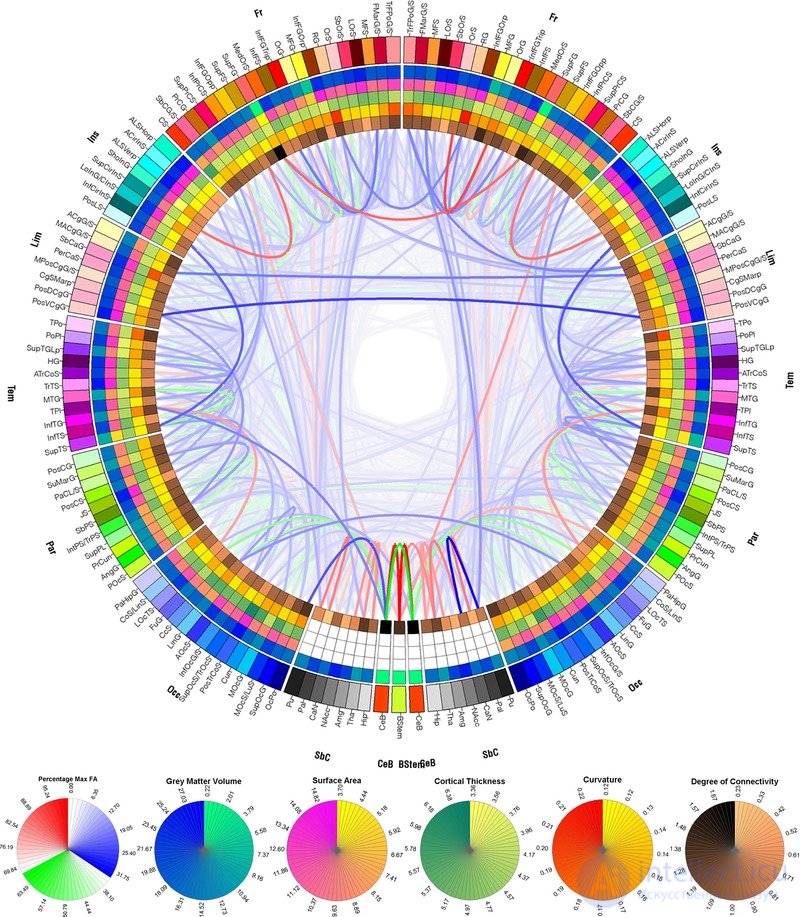 Connectogram: A Graphical Representation of Connectomics