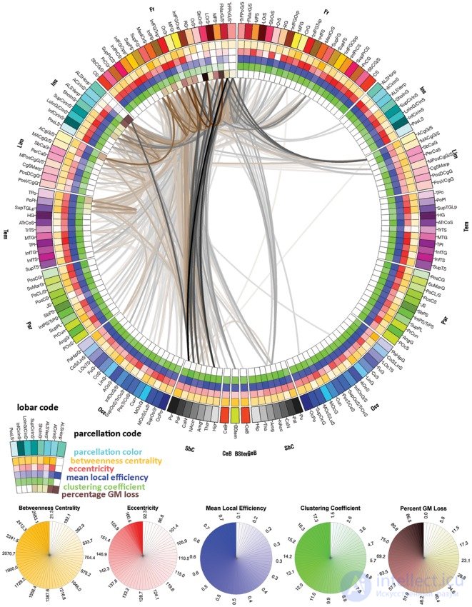Connectogram: A Graphical Representation of Connectomics