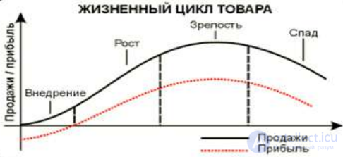 Marketing Research on Products, Product Life Cycle