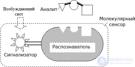 Molecular Sensors