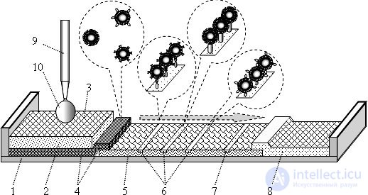Molecular Sensors