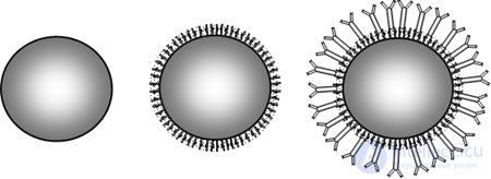 Molecular Sensors