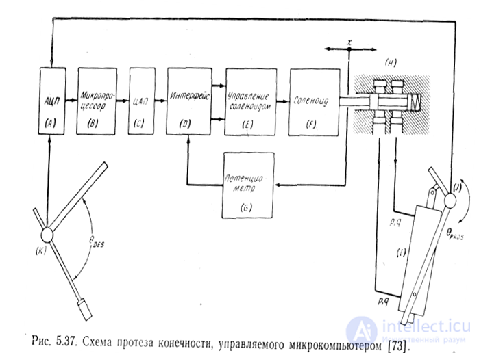 11-Restoration of Lost Functions, Physical Rehabilitation