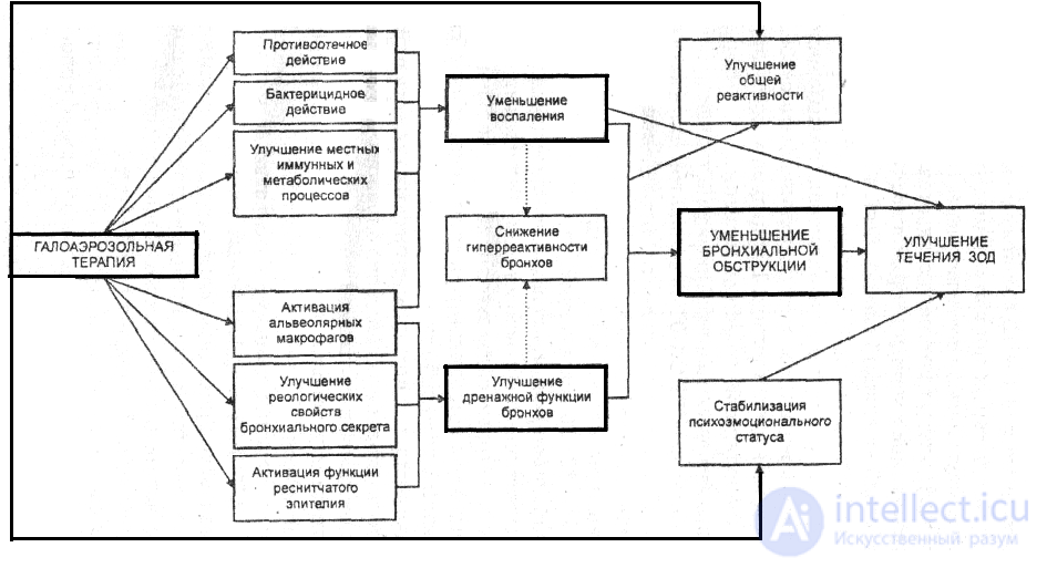 12. Electronic and steam inhalers. Inhalation therapy