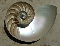 Introduction to Materials Science
