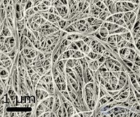 Introduction to Materials Science