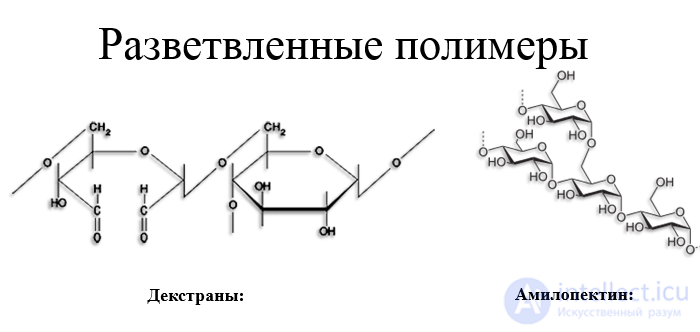 4.8. Linear Polymers