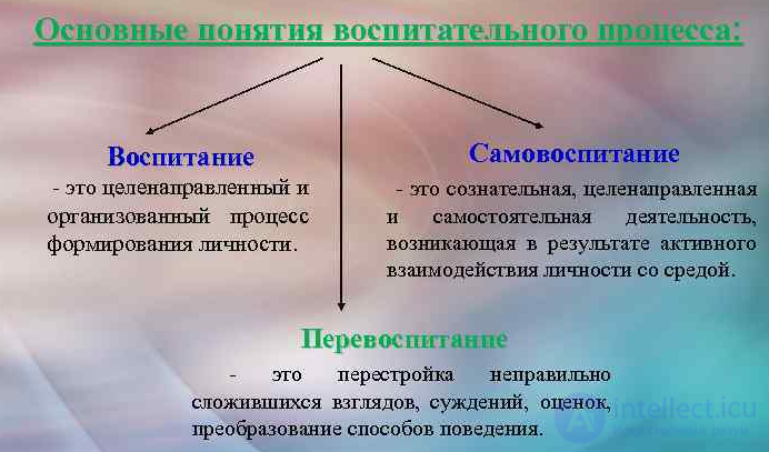 250 Pedagogy Test Questions with Answers and Diagrams