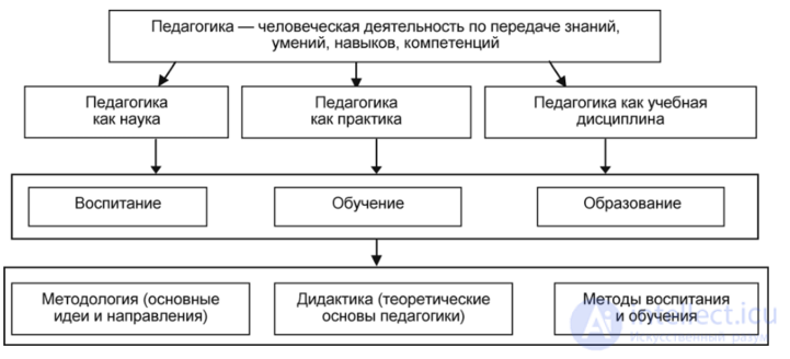 250 Pedagogy Test Questions with Answers and Diagrams