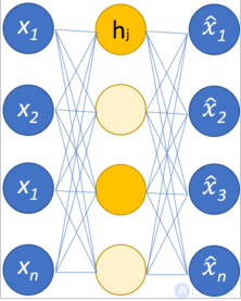 The Autoencoder: A Neural Network Architecture for Unsupervised Learning
