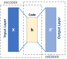 The Autoencoder: A Neural Network Architecture for Unsupervised Learning