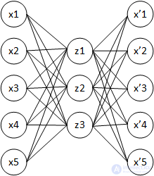 The Autoencoder: A Neural Network Architecture for Unsupervised Learning