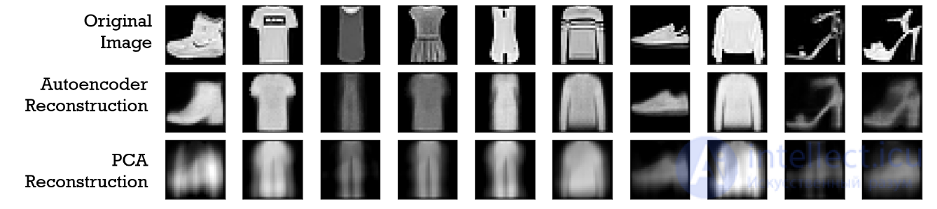 The Autoencoder: A Neural Network Architecture for Unsupervised Learning