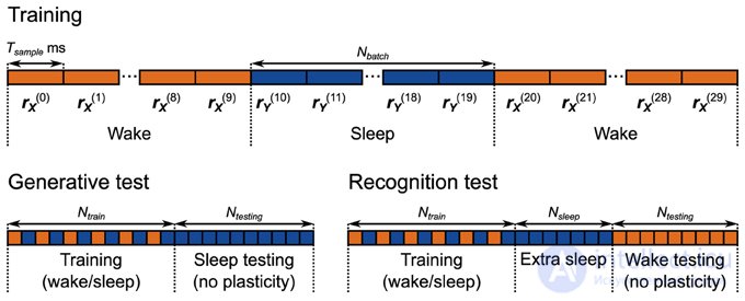 The Helmholtz Machine and the Generative Model