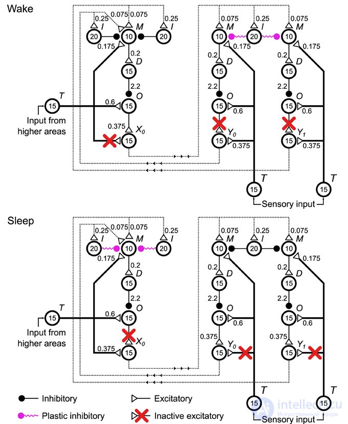 The Helmholtz Machine and the Generative Model