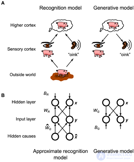 The Helmholtz Machine and the Generative Model