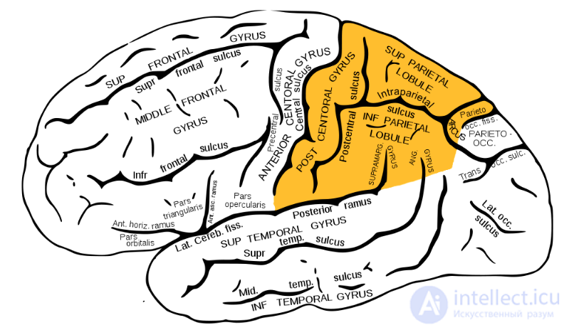 Dyscalculia as an Inability to Learn Arithmetic