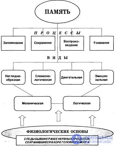 General Psychology Tests with Answers and Diagrams