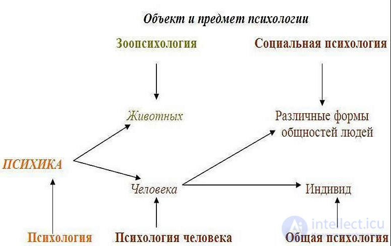General Psychology Tests with Answers and Diagrams