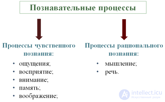 General Psychology Tests with Answers and Diagrams