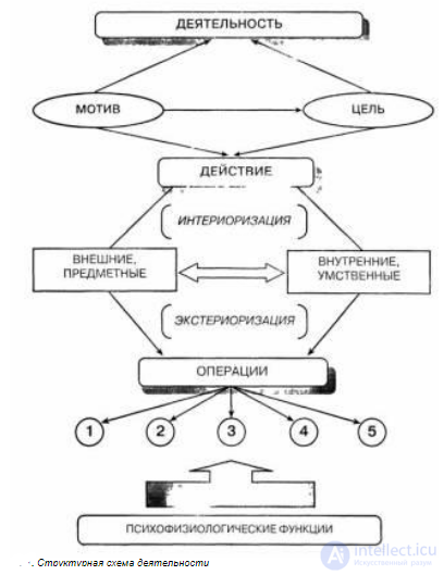 General Psychology Tests with Answers and Diagrams