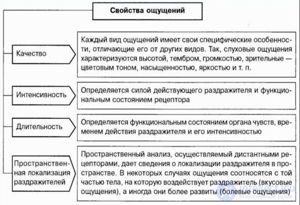 General Psychology Tests with Answers and Diagrams