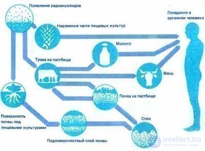 Radioactivity and Radiation: Natural, Ground, Cosmic, and Man-Made Sources, Measurement, Effects, and Protection