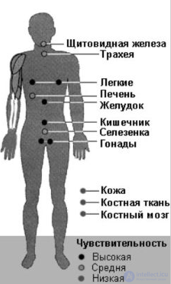 Radioactivity and Radiation: Natural, Ground, Cosmic, and Man-Made Sources, Measurement, Effects, and Protection