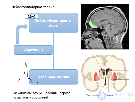 Obsessive-Compulsive Neurosis: Signs, Mechanisms, and Treatment