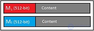 Backdoor in Programming
