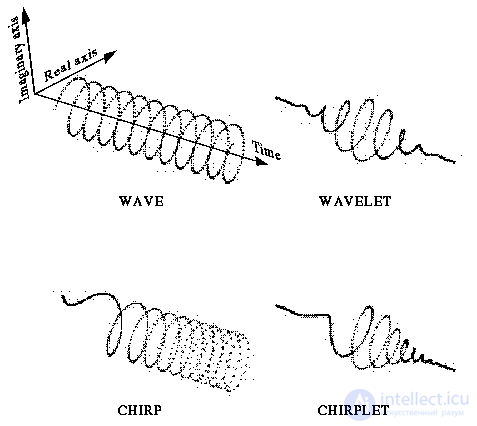 Wavelet Function and Wavelet Transform