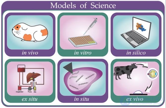 239 Tests with Answers on Bioethics and Biosafety