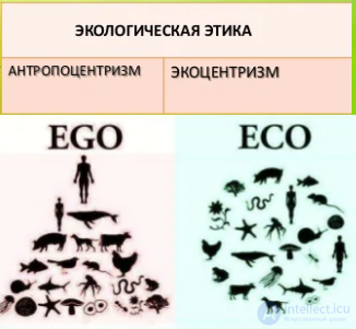 Environmental Ethics: Its Subject, Problems and Principles, and the Global Problems of Humanity
