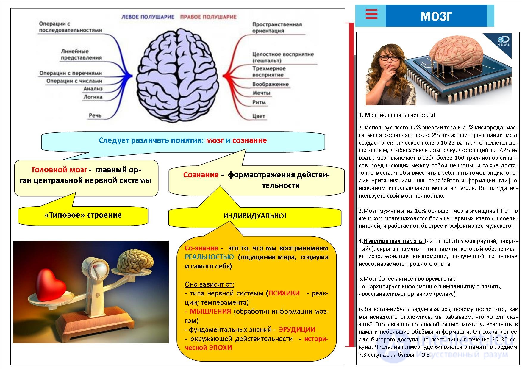 1000 Online Philosophy Tests with Answers, Diagrams, and Infographics