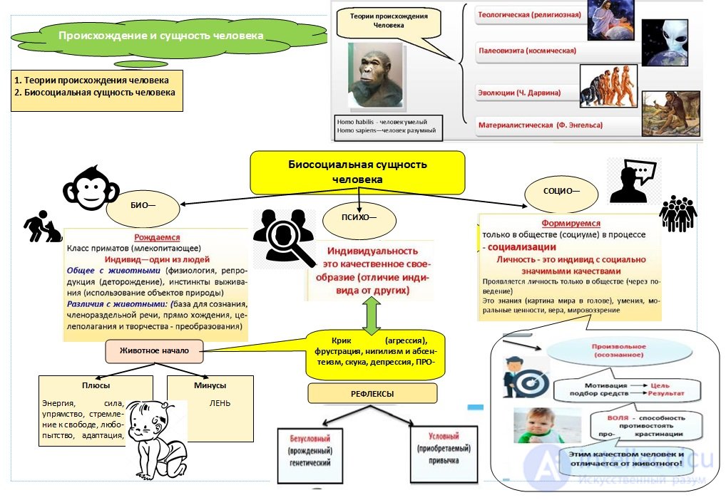 1000 Online Philosophy Tests with Answers, Diagrams, and Infographics