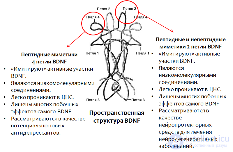 Depression: Causes, Diagnosis, Prevention and Treatment; Depression in Neurology and Neurosurgery, and During Pregnancy, Childbirth, and Menopause