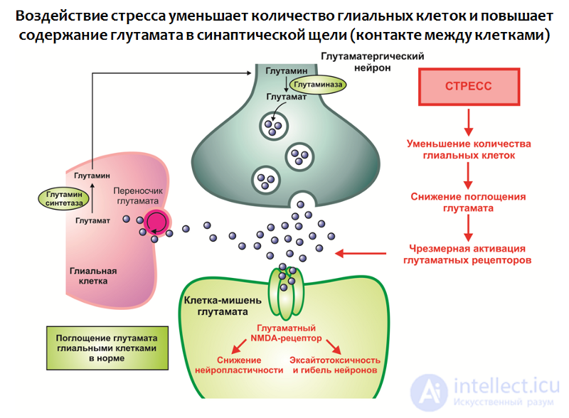 Depression: Causes, Diagnosis, Prevention and Treatment; Depression in Neurology and Neurosurgery, and During Pregnancy, Childbirth, and Menopause