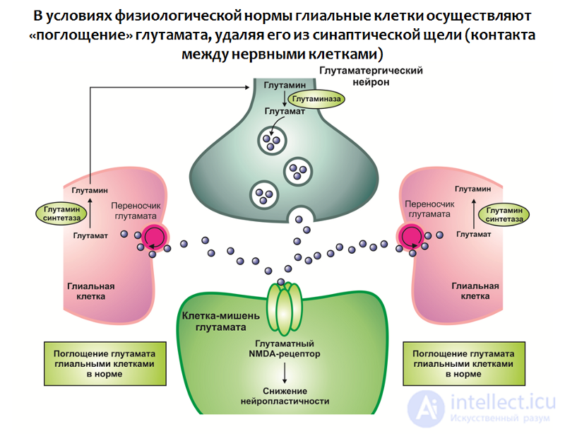 Depression: Causes, Diagnosis, Prevention and Treatment; Depression in Neurology and Neurosurgery, and During Pregnancy, Childbirth, and Menopause