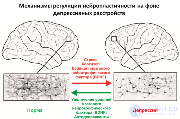 Depression: Causes, Diagnosis, Prevention and Treatment; Depression in Neurology and Neurosurgery, and During Pregnancy, Childbirth, and Menopause